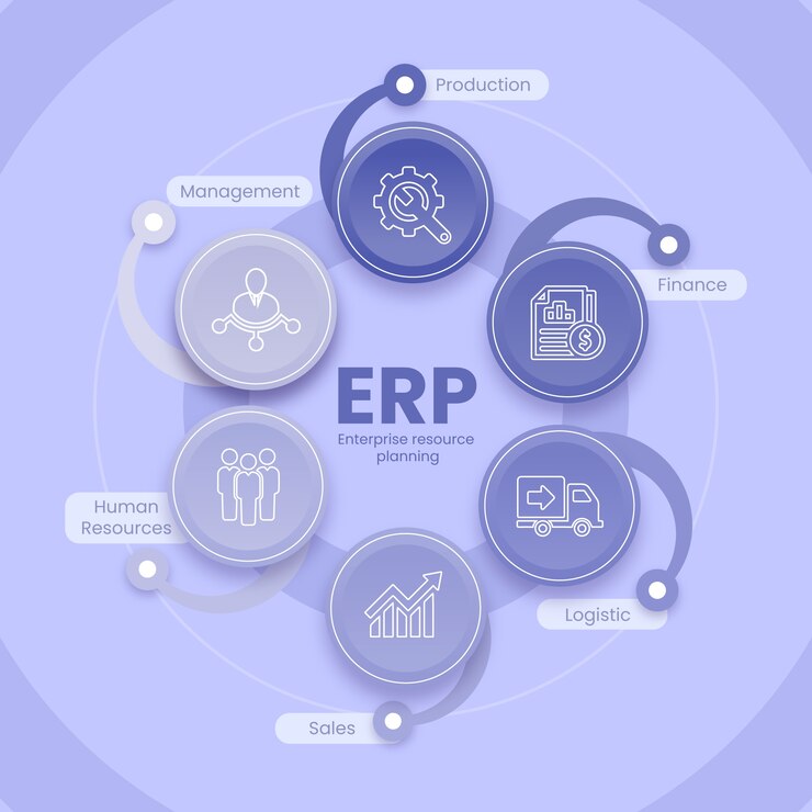 Erp system accounting