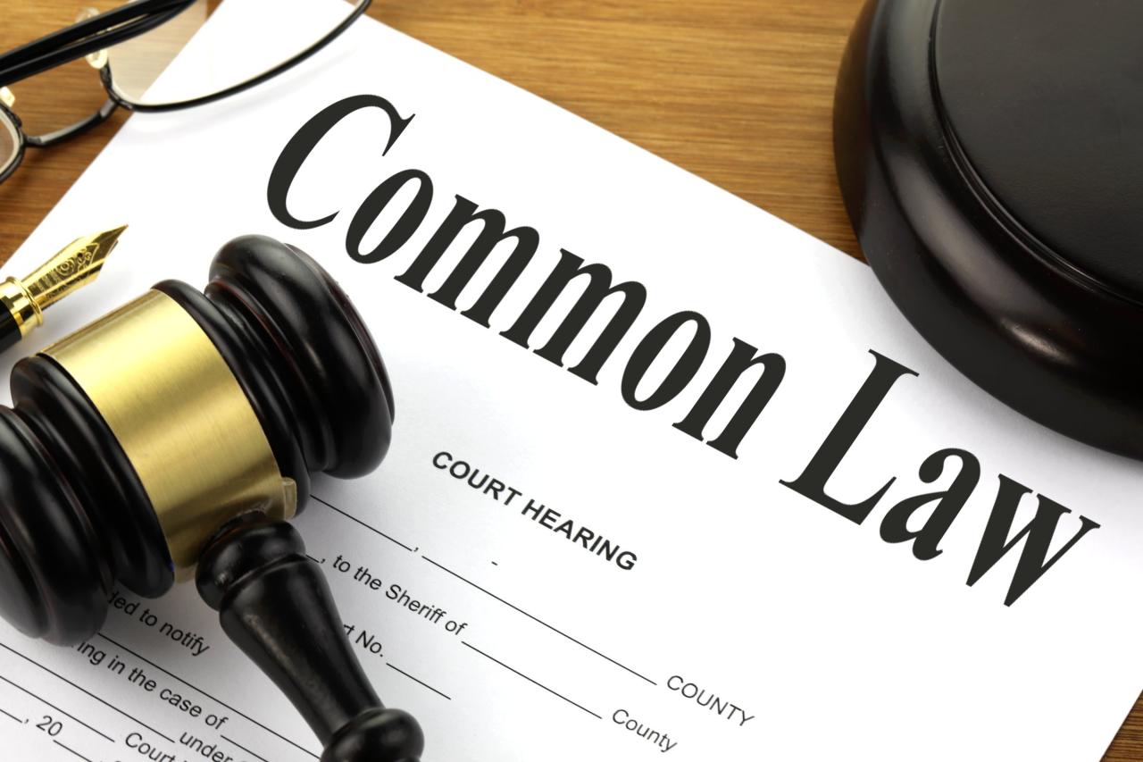 Law firm software